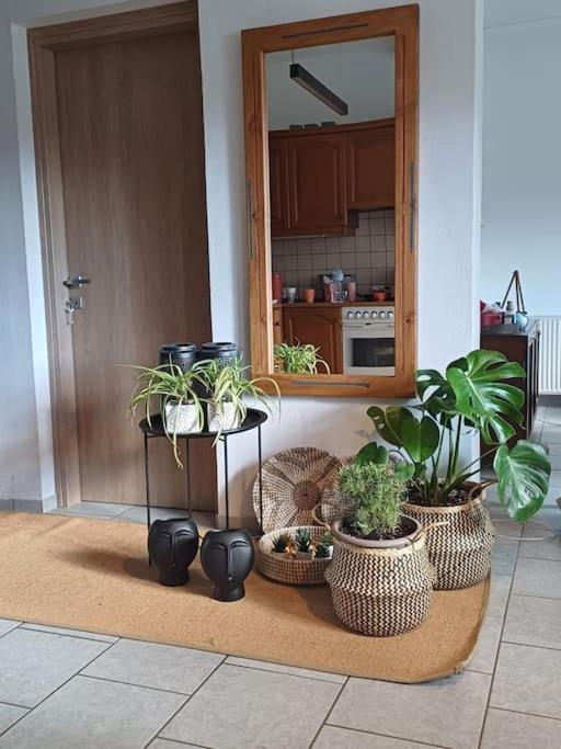 Willa Knossos Metoxi Zewnętrze zdjęcie